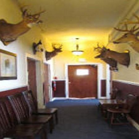 Macarthur Inn Narrows Εξωτερικό φωτογραφία
